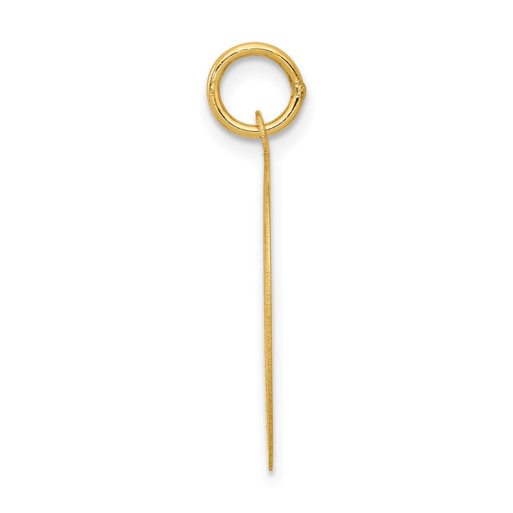 14k Yellow Gold Shih Tzu Disc Engravable Charm Pendant Jewelry Gifts (Length 1.01" Width 0.78")