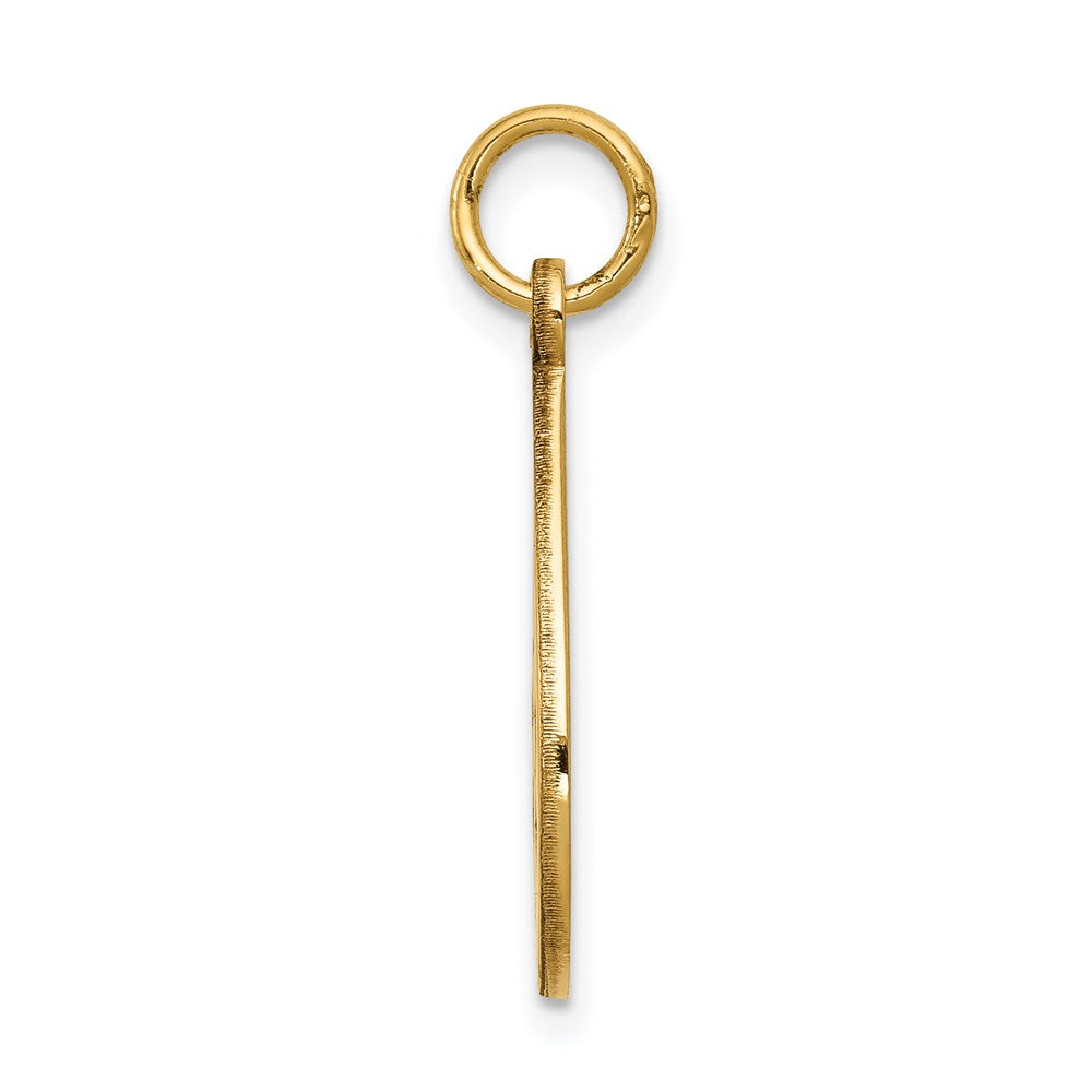 14k Yellow Gold Medical Jewelry UnenameledEngravable Charm Pendant Jewelry Gifts (Length 0.94" Width 0.45")