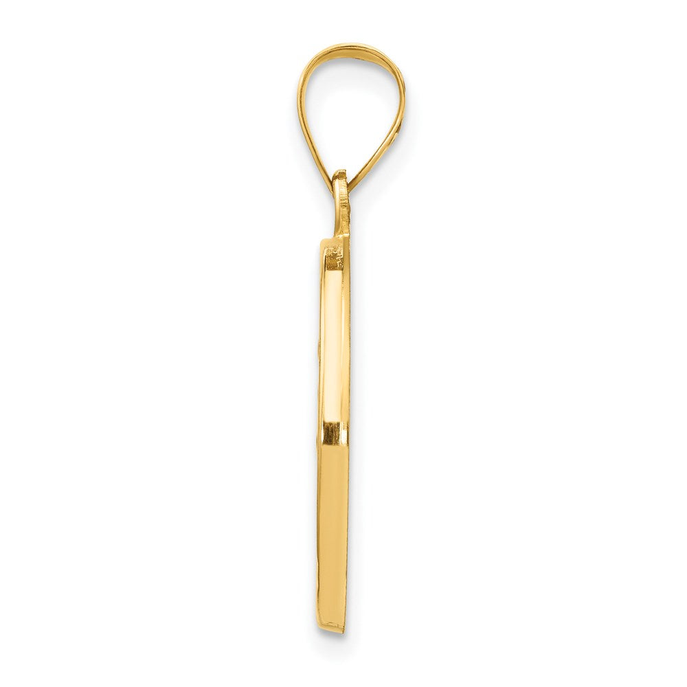 14k Yellow Gold Polished and Satin St Luke Medal Hollow Engravable Charm Pendant Jewelry Gifts (Length 1.05" Width 0.74")
