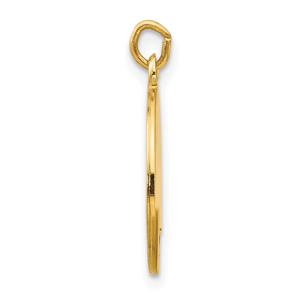 14k Yellow Gold Saint Luke Medal Engravable Charm Pendant Jewelry Gifts (Length 0.77" Width 0.59")