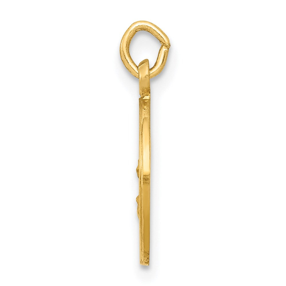 14k Yellow Gold Our Lady Of The Assumption Medal Engravable Charm Pendant Jewelry Gifts (Length 0.66" Width 0.47")