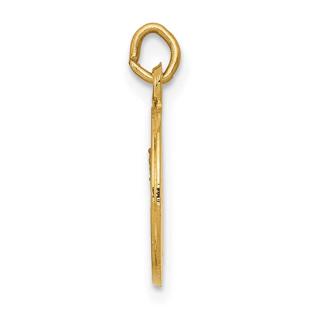 14k Yellow Gold Our Lady of Mt. Carmel Medal Engravable Charm Pendant Jewelry Gifts (Length 0.65" Width 0.47")